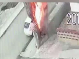 Appicca il fuoco ad una palma e provoca danni, denunciato a Patti (video)
