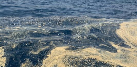 Mare “sporco” a Rodia e San Saba, Amam assicura “depuratore funzionante”. Potrebbe essere il polline di conifere