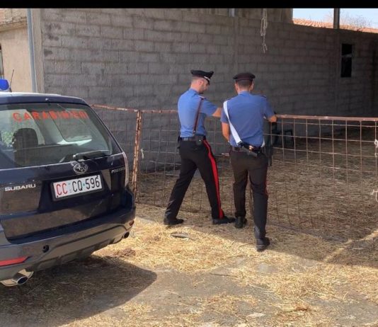 Cesarò: controlli dei Carabinieri con i Reparti Speciali. Denunciato un imprenditore agricolo
