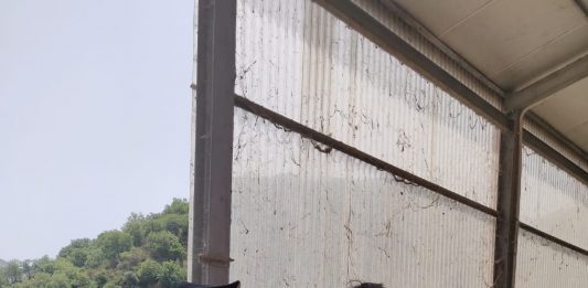 Santa Lucia del Mela: Carabinieri sequestrano un allevamento di bestiame