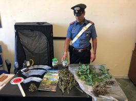San Pier Niceto: Carabinieri arrestano un 26enne, deteneva marijuana e coltivava piante di canapa.