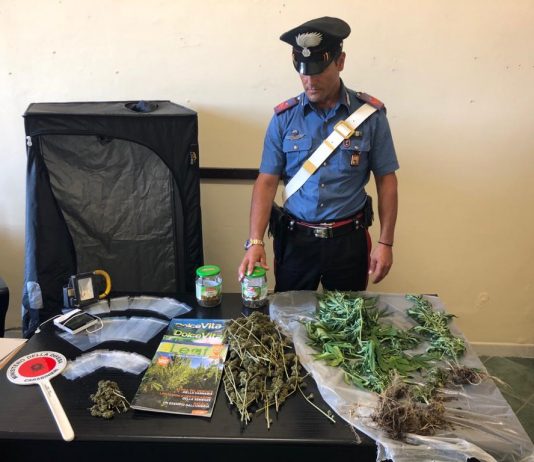 San Pier Niceto: Carabinieri arrestano un 26enne, deteneva marijuana e coltivava piante di canapa.