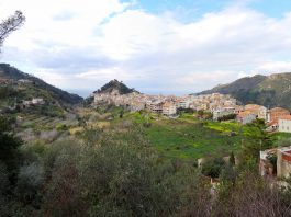 72enne muore folgorato nel suo terreno ai colli San Rizzo