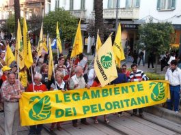 Taglio alberi in città: Legambiente “aspettiamo gli atti dopo la richiesta di accesso”