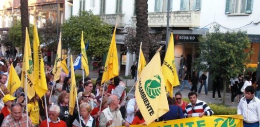 Taglio alberi in città: Legambiente “aspettiamo gli atti dopo la richiesta di accesso”