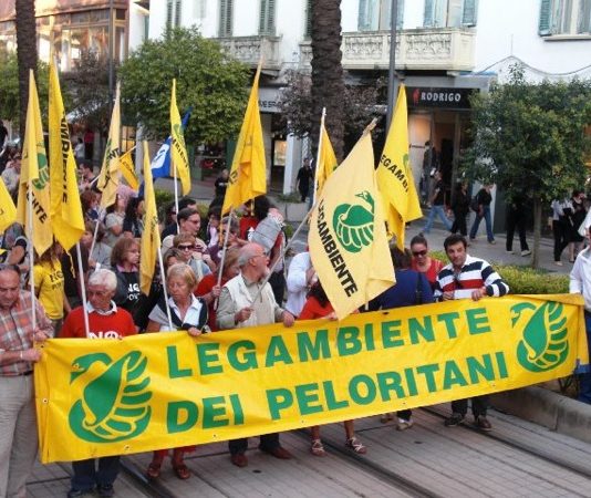 Taglio alberi in città: Legambiente “aspettiamo gli atti dopo la richiesta di accesso”