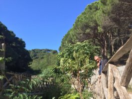 Regione: Messina, si ripulisce il torrente Badiazza