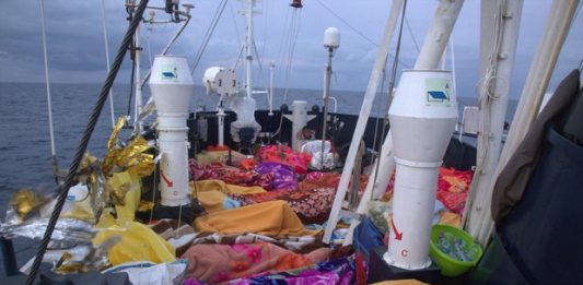Migranti, la Alan Kurdi sbarca a Messina; Ocean Viking a Pozzallo