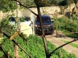 Droga davanti Spaccio davanti le scuole a Patti, Gioiosa Marea e Barcellona: sei gli arresti