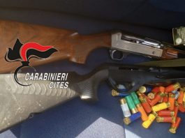 Ancora bracconaggio nello Stretto di Messina: intervengono i Carabinieri