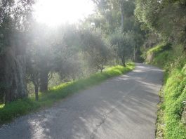 Gualtieri, una strada sicura per arrivare a Sicaminò