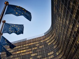 Mafia: Ue, da Commissione tolleranza zero per frodi