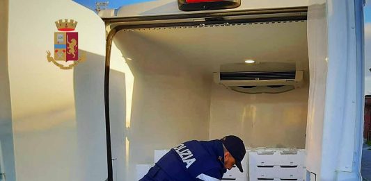 Pesca illegale: sequestrati oltre 1.100 chilogrammi di novellame di sarda