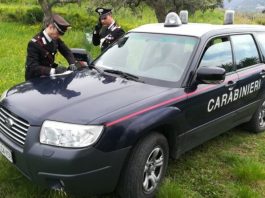 Controlli dei Carabinieri nelle aziende zootecniche. Tre persone denunciate