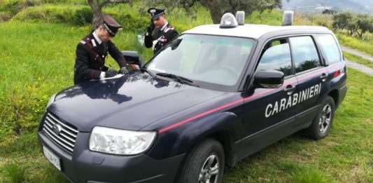 Controlli dei Carabinieri nelle aziende zootecniche. Tre persone denunciate