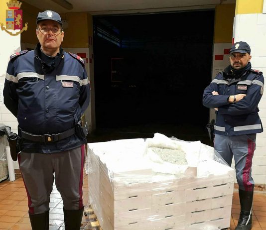 Francavilla di Sicilia: sequestrato novellame, controlli sul trasporto di alimenti