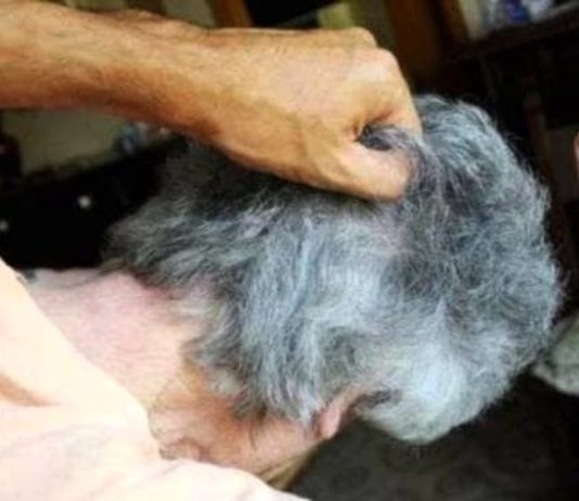 Picchia a sangue la nonna per farsi dare i soldi, lei lo fa arrestare