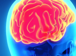 UniMe guida la formazione dei giovani neurochirurghi italiani, dalla crisi COVID 19 nuove opportunità