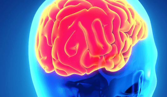 UniMe guida la formazione dei giovani neurochirurghi italiani, dalla crisi COVID 19 nuove opportunità