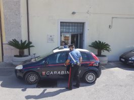 Coltiva marijuana nell’orto, arrestato a Milazzo