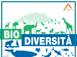 Una rete per la biodiversità in Sicilia, evento online 5 giugno