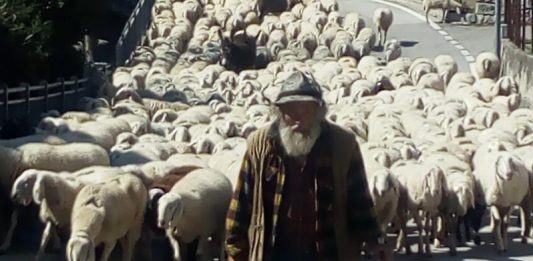 Vangelo Ora: fuori tutti… seguendo il Pastore
