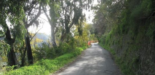 Dissesto idrogeologico: Gualtieri, al via i lavori sulla comunale per Sicaminò