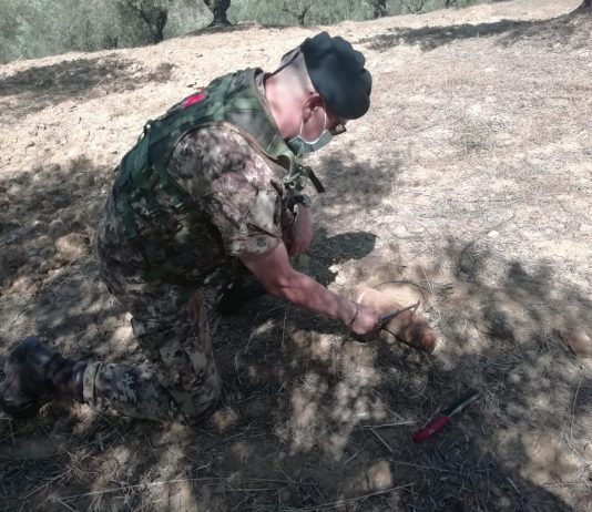 il Genio Guastatori di Palermo dell’Esercito disinnesca ordigni bellici a Castroreale, Randazzo (Ct) e Agira (En)