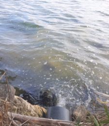 Lo scarico acque della piscina di una villa inquina il lago di Ganzirri. Denunciati i proprietari