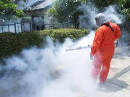 Messinaservizi, oggi e domani prosegue la disinfestazione in altre aree della Zona Sud