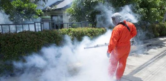 Messinaservizi, oggi e domani prosegue la disinfestazione in altre aree della Zona Sud