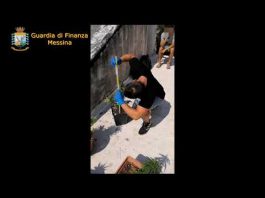 Salina, sequestrata serra di marijuana “indoor”