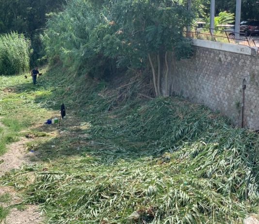 Avviati gli interventi di pulizia sui torrenti