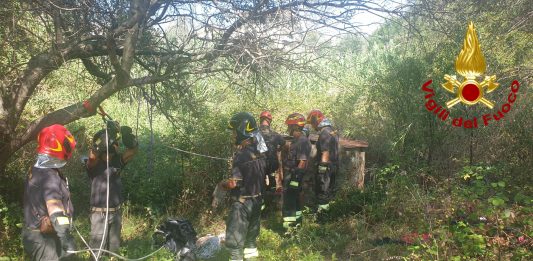 Proseguono le ricerche del piccolo Gioele. Tredicesimo giorno, nuove ipotesi