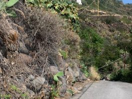 Filicudi, un progetto per la strada del centro abitato