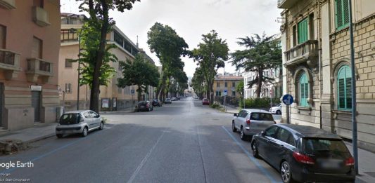 Potatura e messa in sicurezza alberi, limitazioni in Via Enzo Geraci