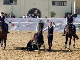 Fiera mediterranea del cavallo, grande protagonista il Cavallo Sanfratellano
