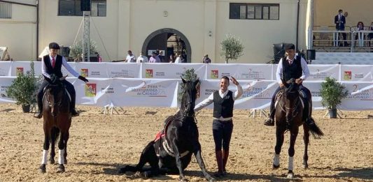 Fiera mediterranea del cavallo, grande protagonista il Cavallo Sanfratellano