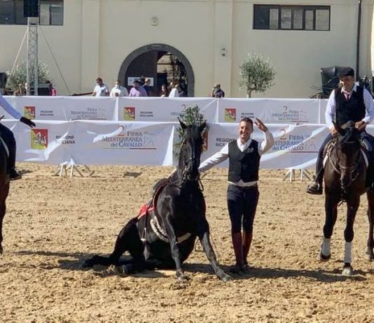 Fiera mediterranea del cavallo, grande protagonista il Cavallo Sanfratellano