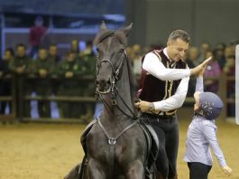 Fiera Mediterranea del Cavallo: Carmelo Lo Cicero rappresenterà San Fratello ed il suo Cavallo