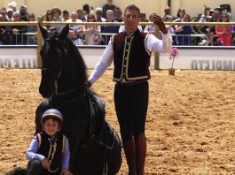 Fiera Mediterranea del Cavallo: Latteri e Lo Cicero con il piccolo Delfio rappresentano San Fratello e il suo Cavallo