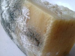 Cibo ammuffito al banco: sequestro dei Vigili Urbani