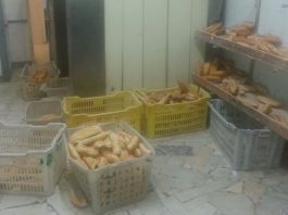 Panificio di Torre Faro invaso dai parassiti: denunciato titolare