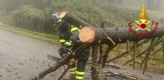 Maltempo: 24 interventi dei Vigili del Fuoco in 24 ore