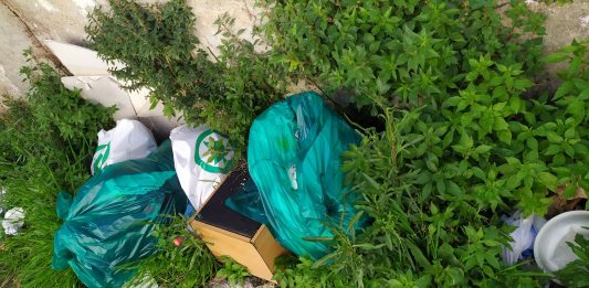 Discarica abusiva all’Annunziata, i cittadini “siamo sommersi dai rifiuti”