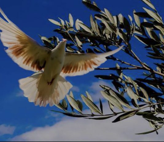 Vangelo Ora: una settimana particolare