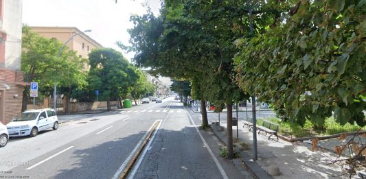 Abbattimento alberi Cesare Battisti e Via Catania, Legambiente e Italia Nostra inviano esposto in Procura