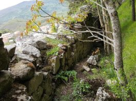 Dissesto idrogeologico: Floresta, in sicurezza il versante a monte del centro abitato