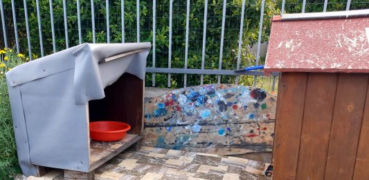 Multa per l’angolo “I gatti felici di Lipari”, ma per la discarica a cielo aperto nessun provvedimento