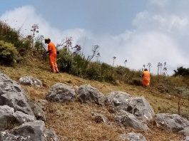 Archeologia: Parco di Tindari, si interviene sul sito di Apollonia